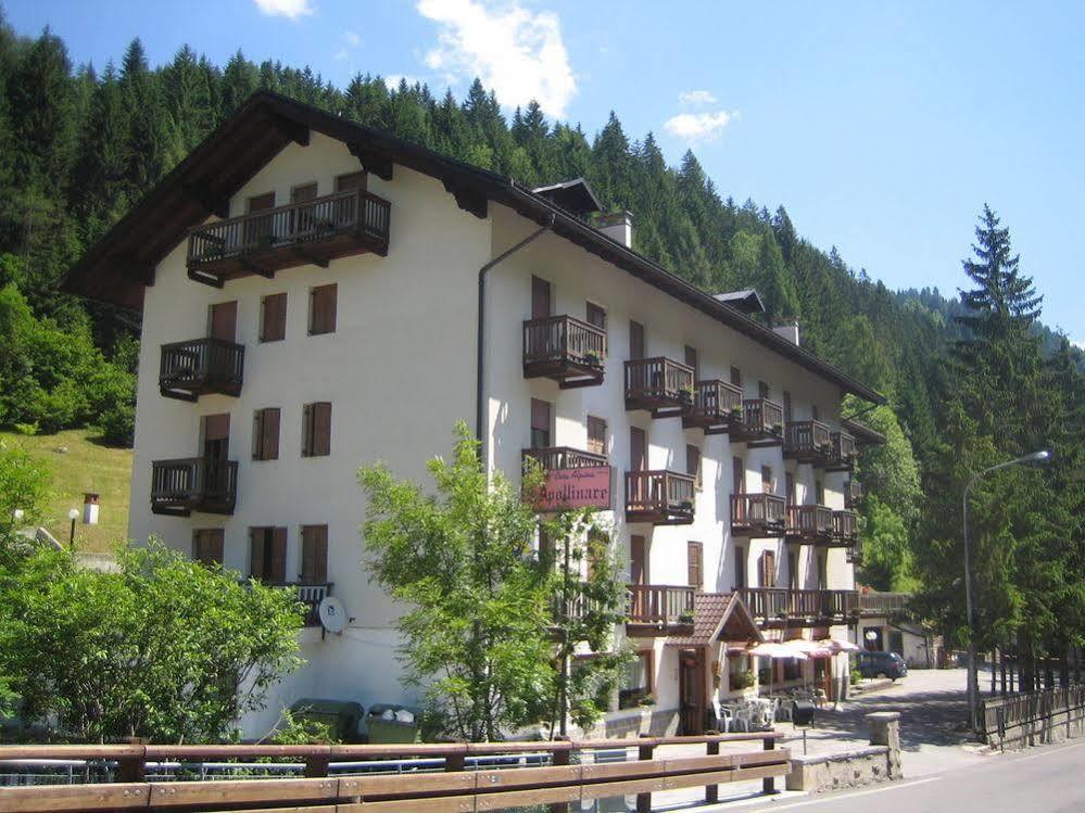 Casa Alpina Sant'Apollinare Hotel Falcade Kültér fotó